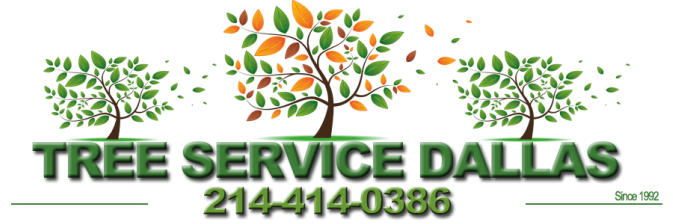 Tree Service Dallas | Tree Trimming, Tree Removal, Arborist